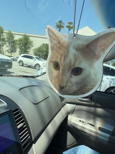 undefined review of Custom Air Freshener image 1 out of 1