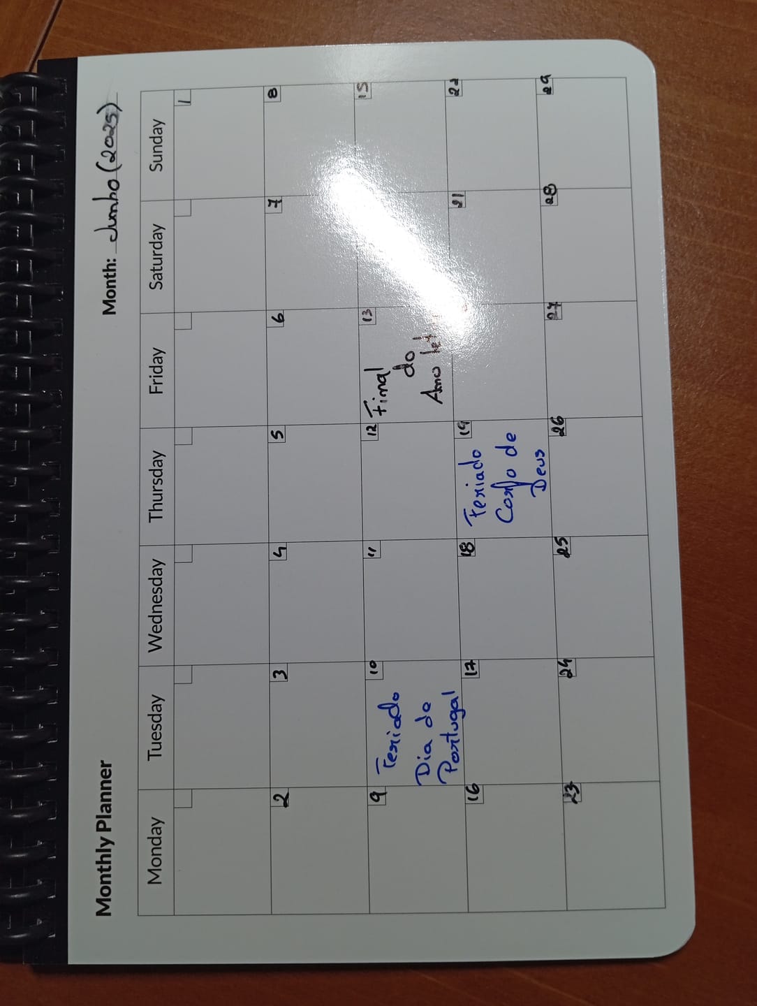 Customer photo review of Pack of 5 monthly planner A5 sheets