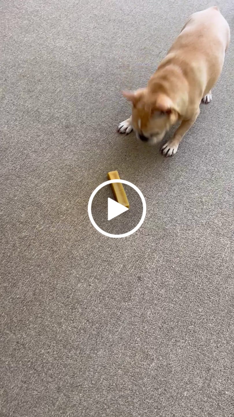 Customer video review of Turmeric Yak Chews