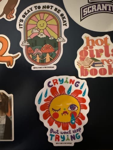 Customer photo review of Mystery Sticker Pack