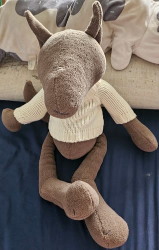 Customer photo review of PIOTR, LE LOUP - GRAND - SPÉCIAL PRINTEMPS