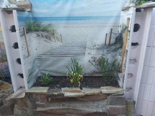 Customer photo review of Plane inkl. Druck