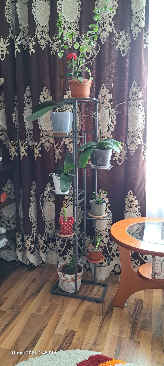 Customer photo review of Etajera BAMIR TIP 4, gri, metal, 44x22x141 cm