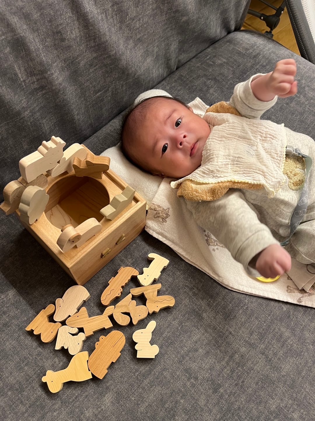 Customer photo review of 動物積み木