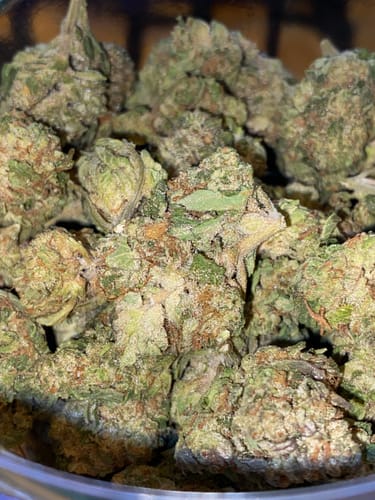 Customer photo review of Gary Payton THCA Flower