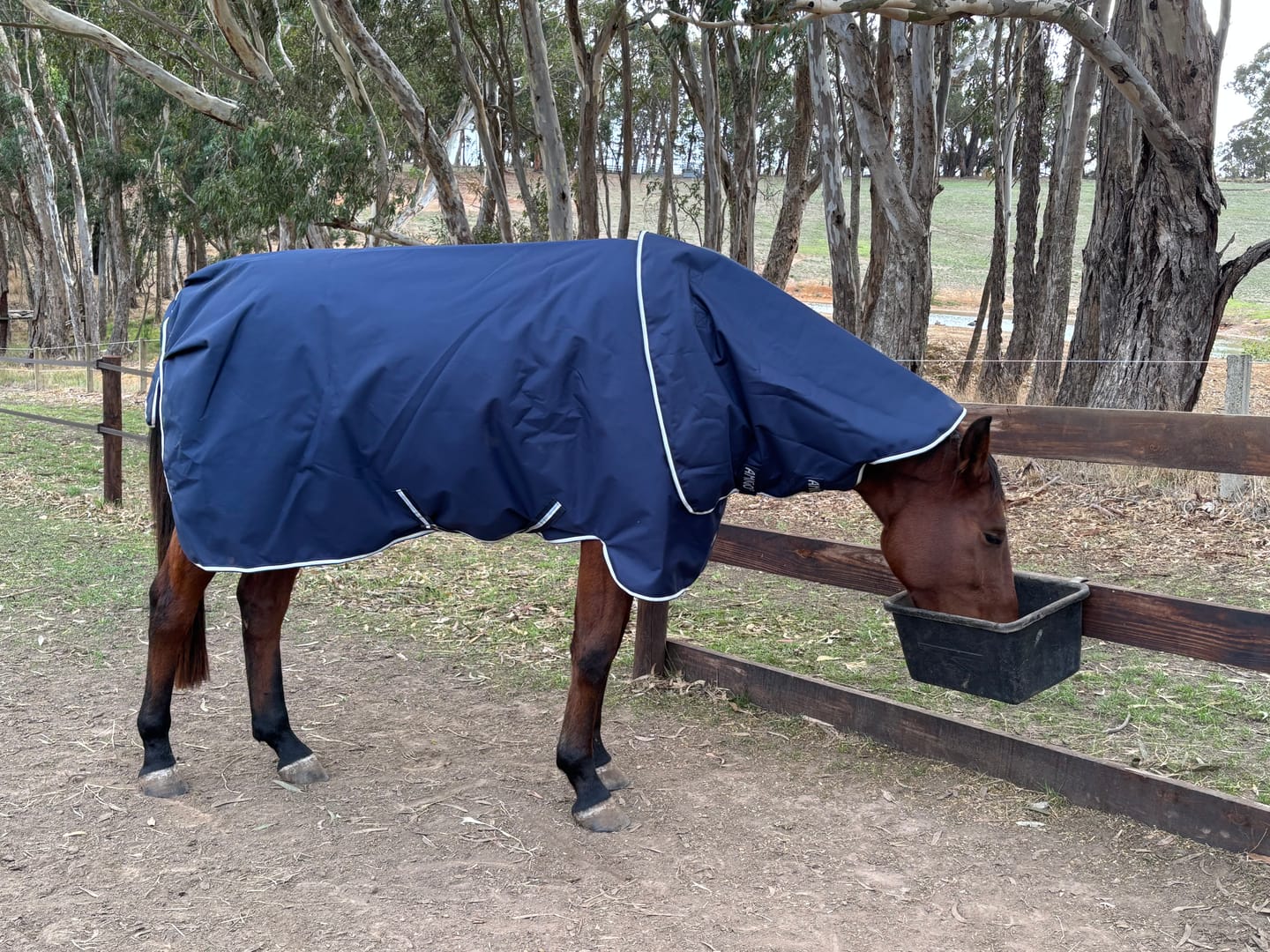 Customer photo review of Amigo Ripstop 900D Plus Turnout 100g