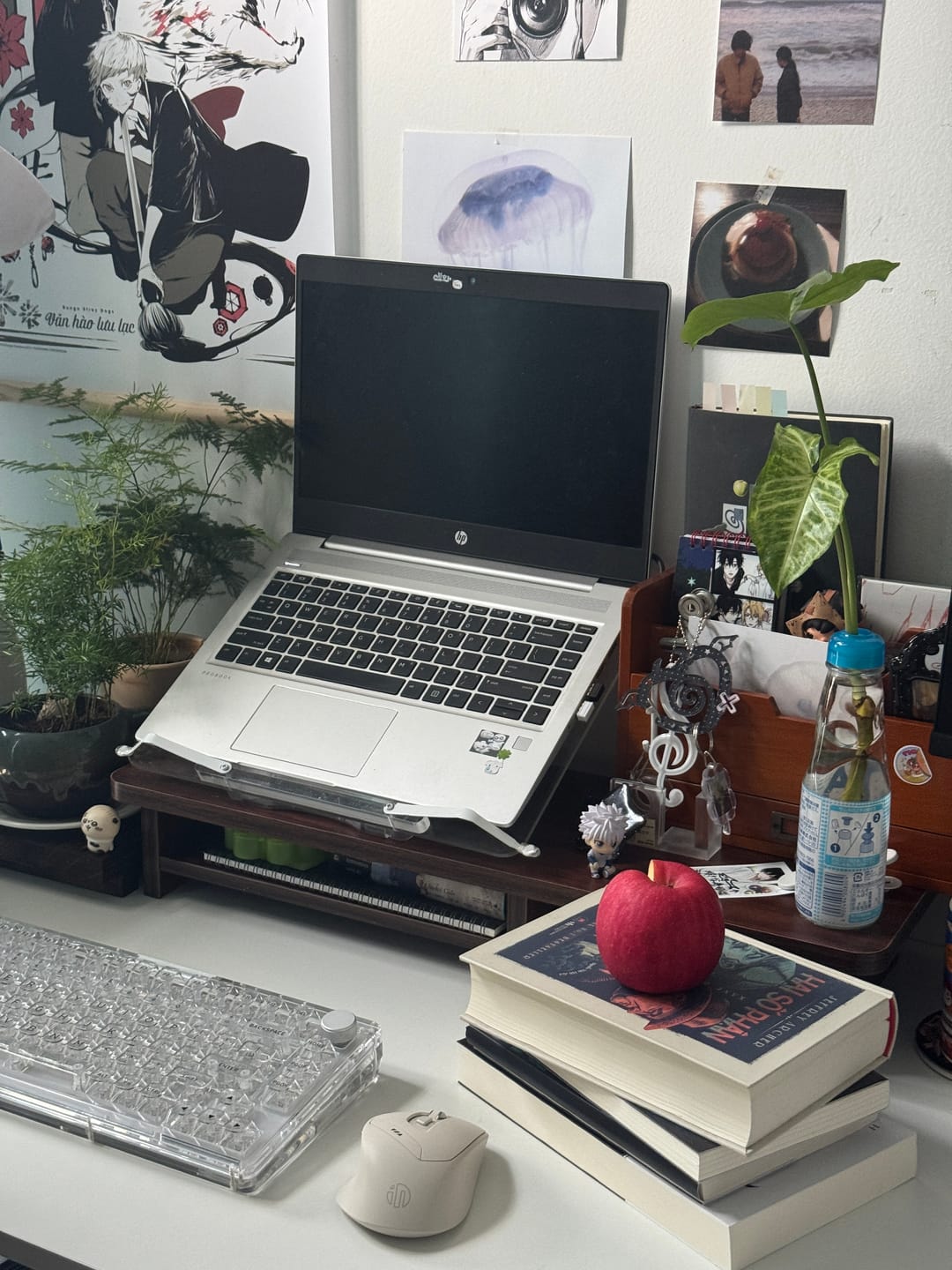Customer photo review of KiiBOOM Phantom 81 V3