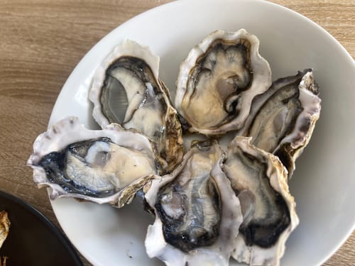 Customer photo review of Fresh Medium Half Shell Oysters - 6 pieces **FREE GIFT**