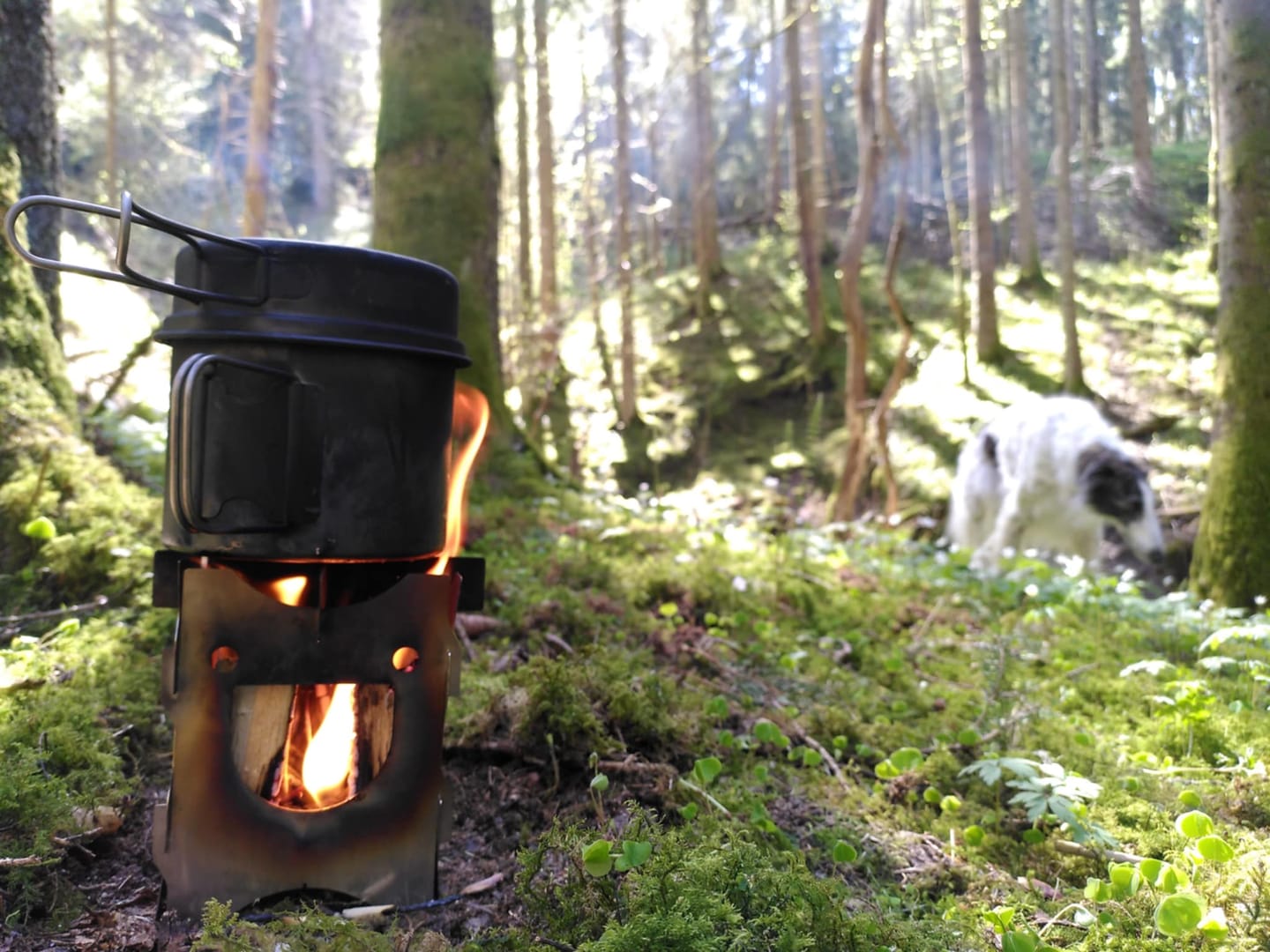 Customer photo review of Happy stove