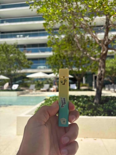 Customer photo review of THCa Jack Herer Disposable Vape
