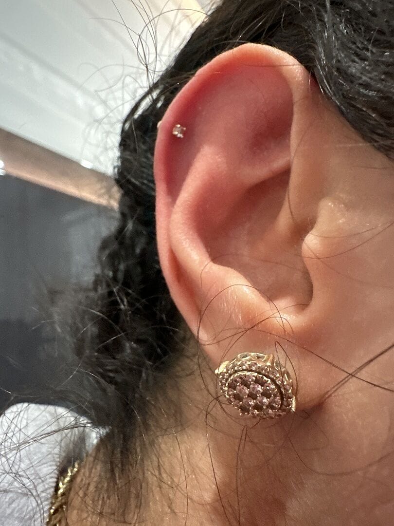 Customer photo review of 14K Gold Rose Cut Cubic 4 pronged Cartilage Earring 20G18G16G
