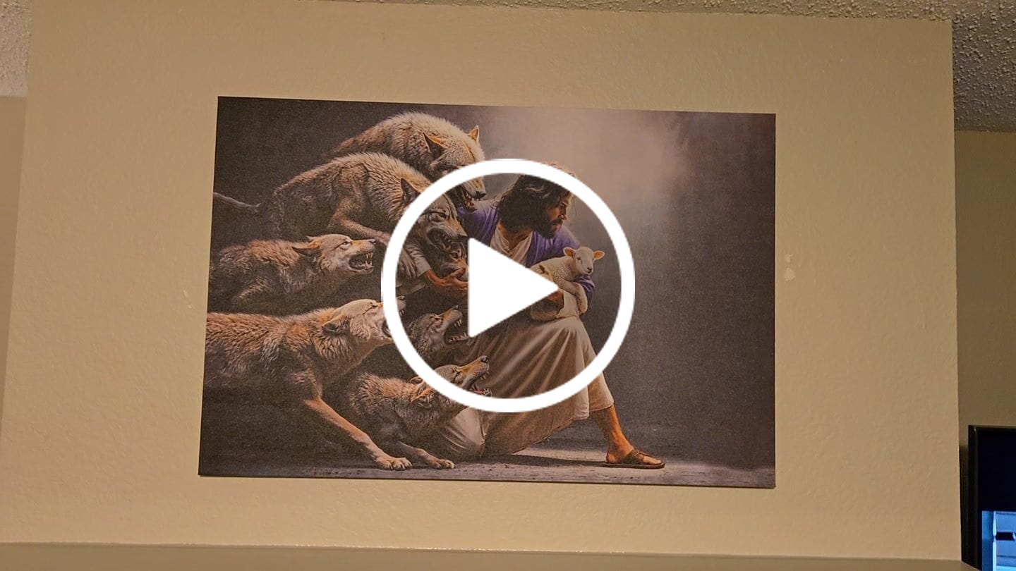 Customer video review of Jesus Protects The Lamb From Wolves Wall Art Canvas