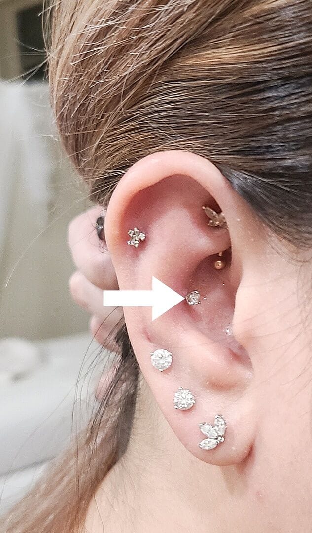 Customer photo review of 14K Gold 3 Pronged Moissanite Cartilage Earring 20G18G16G