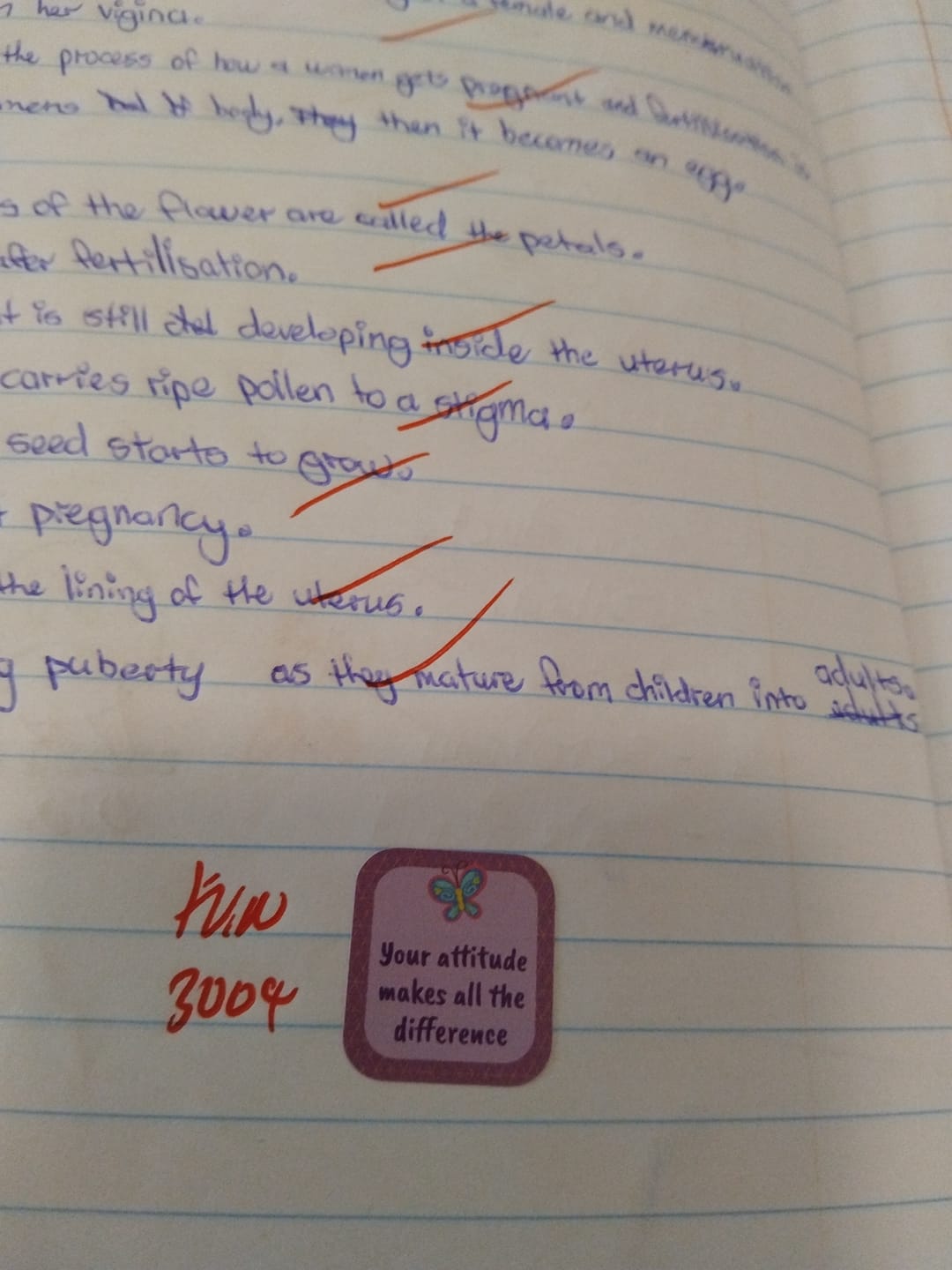 Customer photo review of Butterfly - Growth Mindset