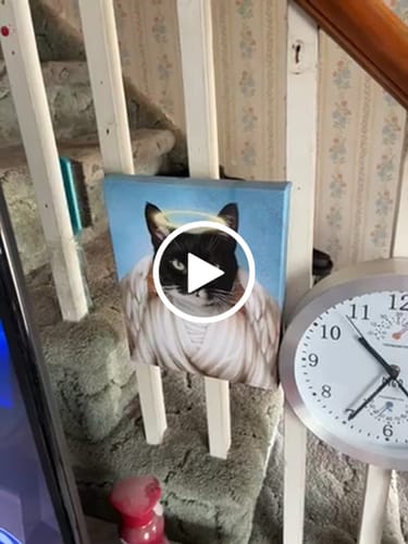 Customer video review of Angel