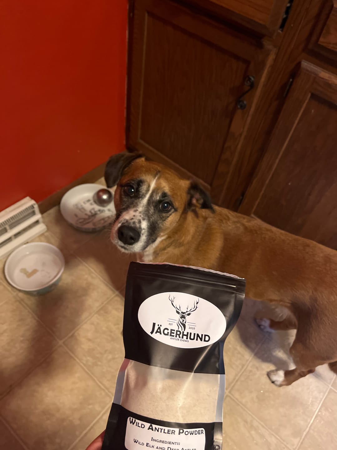 Customer photo review of Wild Antler Powder