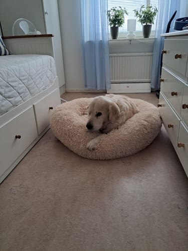 Customer photo review of CalmBed - Motverkar stress & hjälper mot ångest