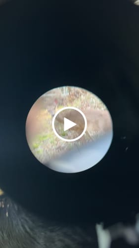 Customer video review of SATURN™ 4x32 Tactical Scope (2.0)