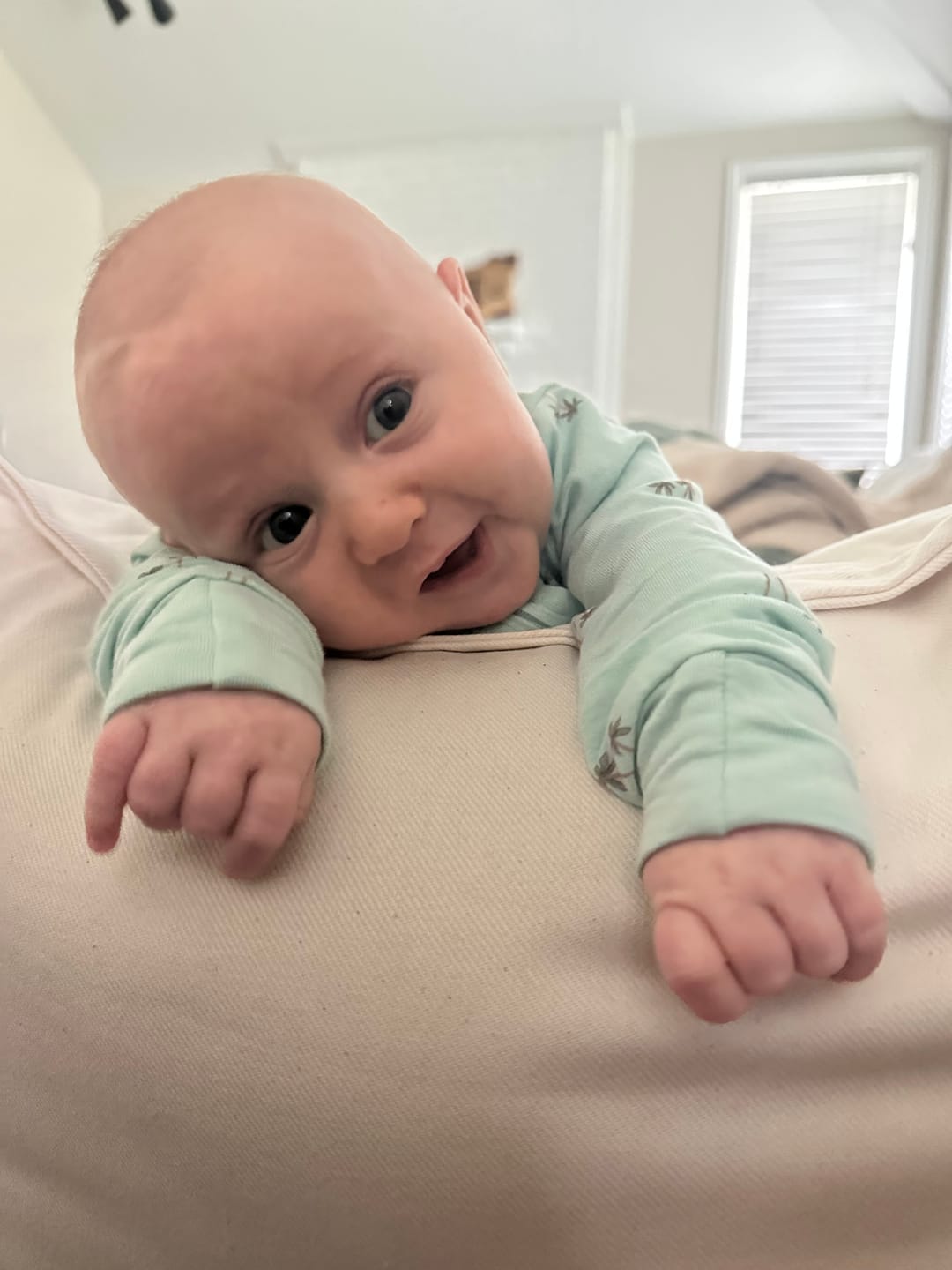 Customer photo review of Peekaboo Pillow | Deluxe