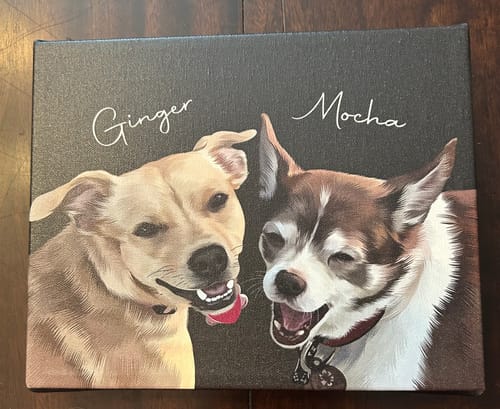 Customer photo review of Pet Art Canvas Wrap