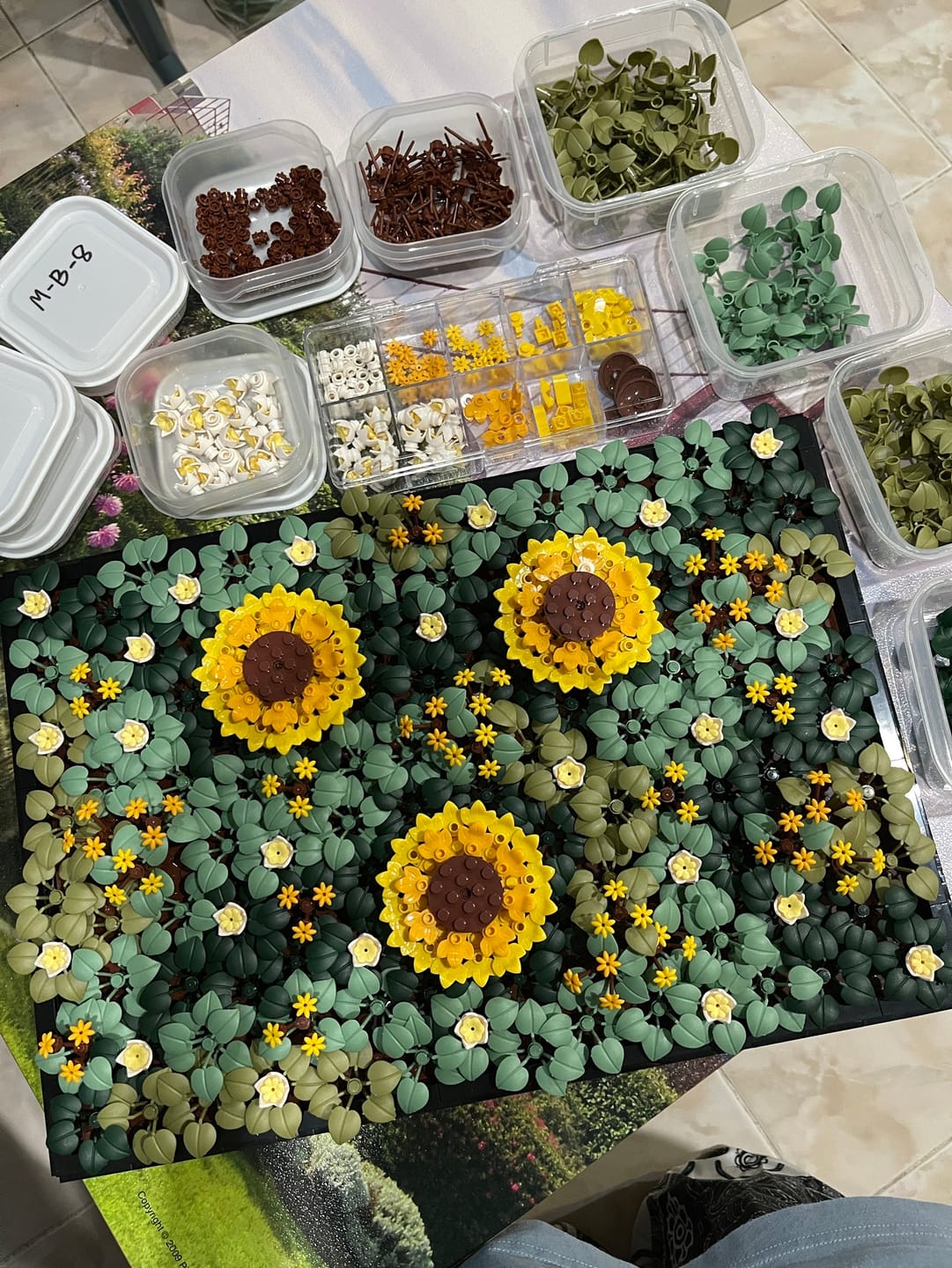 Customer photo review of Moss Garden