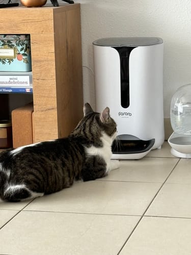 Avis photo d'un client sur Croquettes Chat Stérilisé Sans Céréales - Poulet