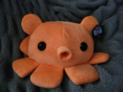 Customer photo review of Fisch - Dumbo Octopus Plushie