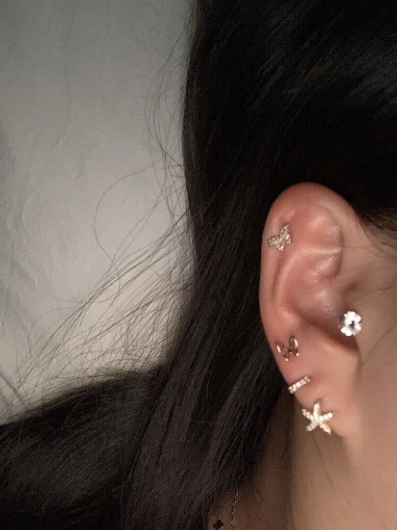 Customer photo review of 14K Gold Point Butterfly Cartilage Earring 20G18G16G