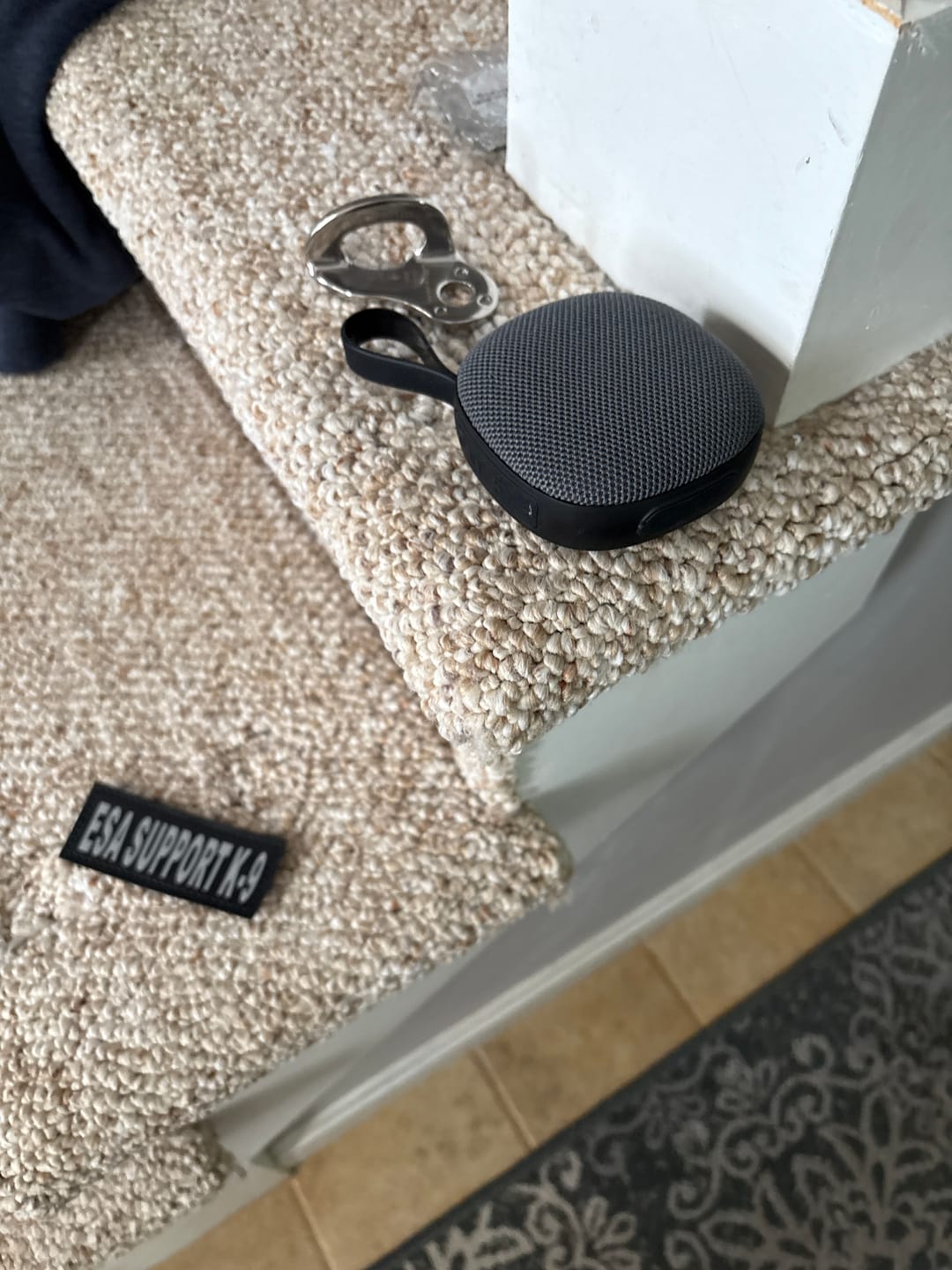 Customer photo review of Heatproof + Waterproof Speaker