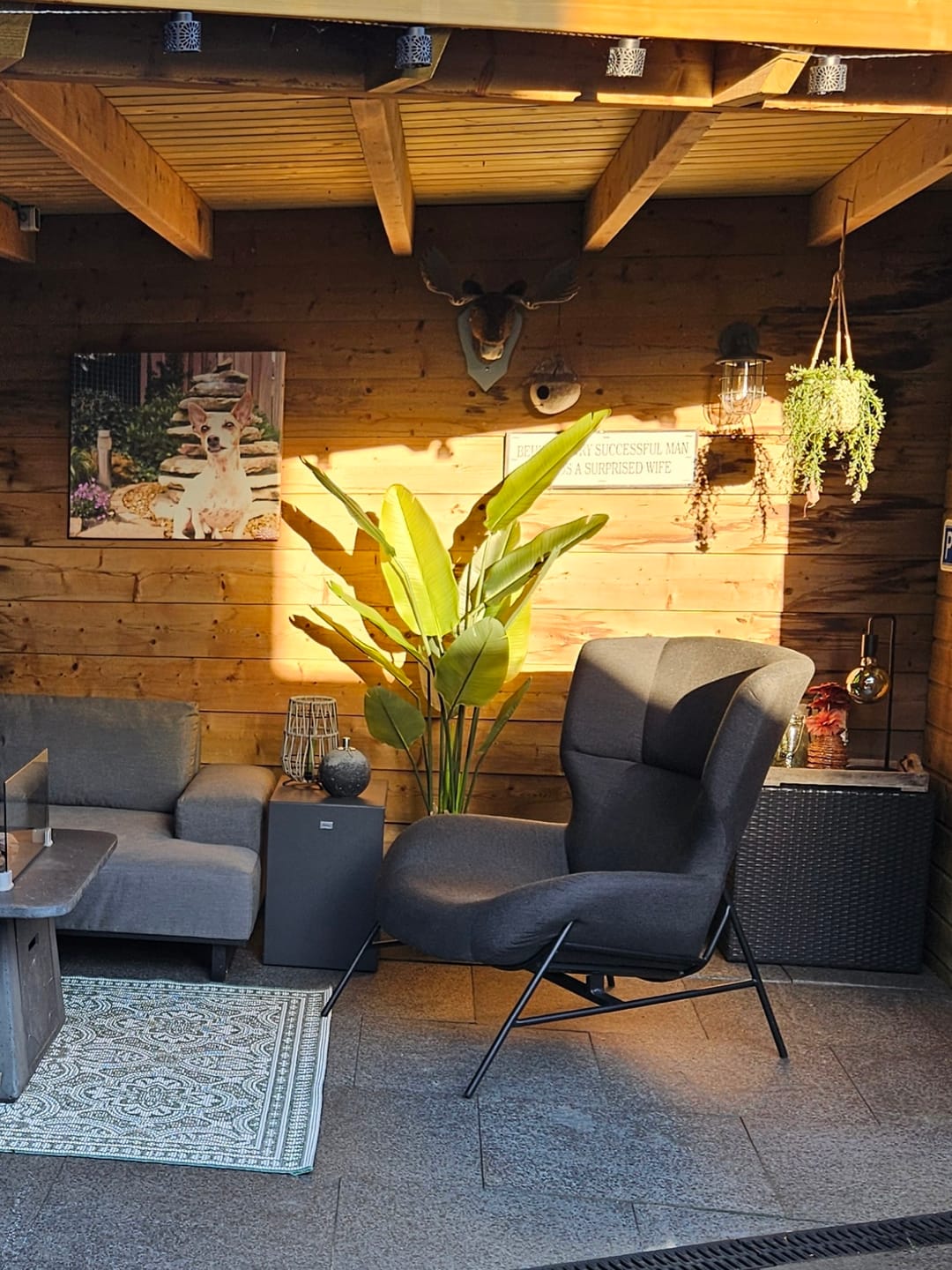 Customer photo review of Strelitzia Kunstplant 120cm