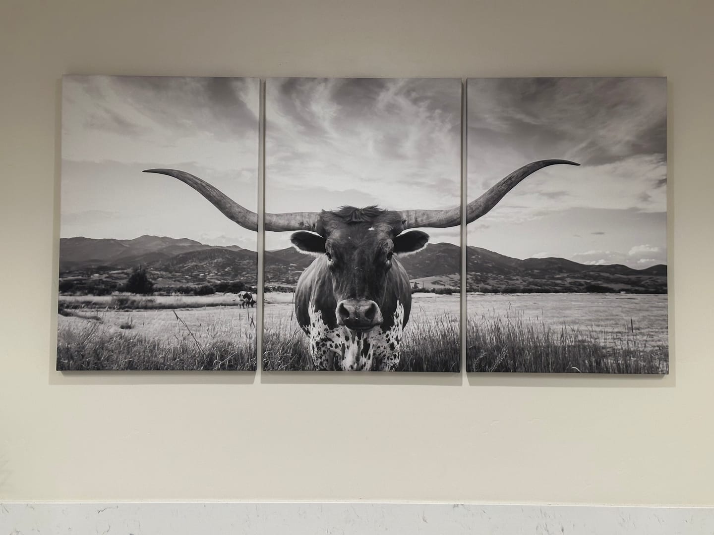 Customer photo review of Longhorn Cow Wall Art Canvas Print Farmhouse Wall Art - Texas Longhorn Wall Art Print