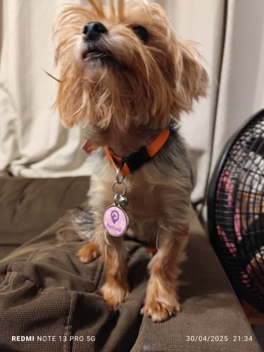 Customer photo review of Placa Rosada Flores