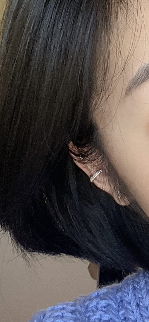 Customer photo review of 14K Gold 2 Line CZ Hoop Earring