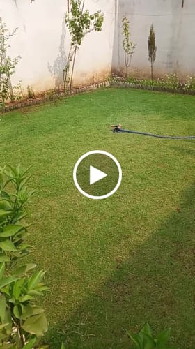 Customer video review of Lot Imported Garden Sprinkler