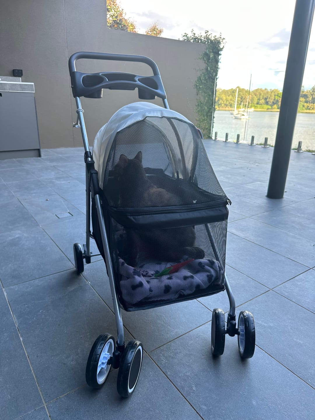 Customer photo review of Pawz Compact & Comfortable Pet Stroller
