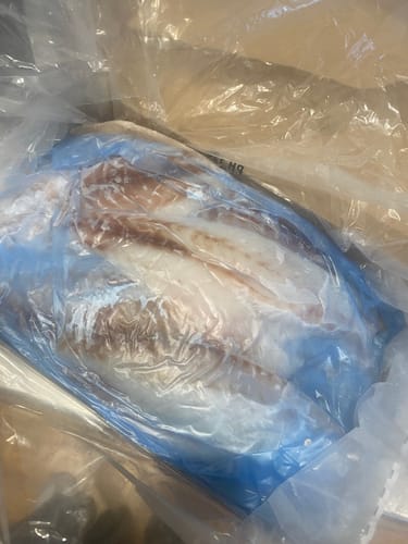 Customer photo review of 5KG Snapper Fillets (Skinned and Boned) Frozen