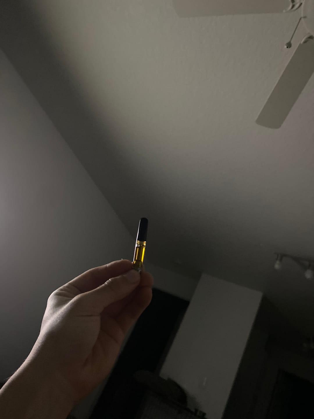 Customer photo review of Sour Diesel THC Vape Cartridge