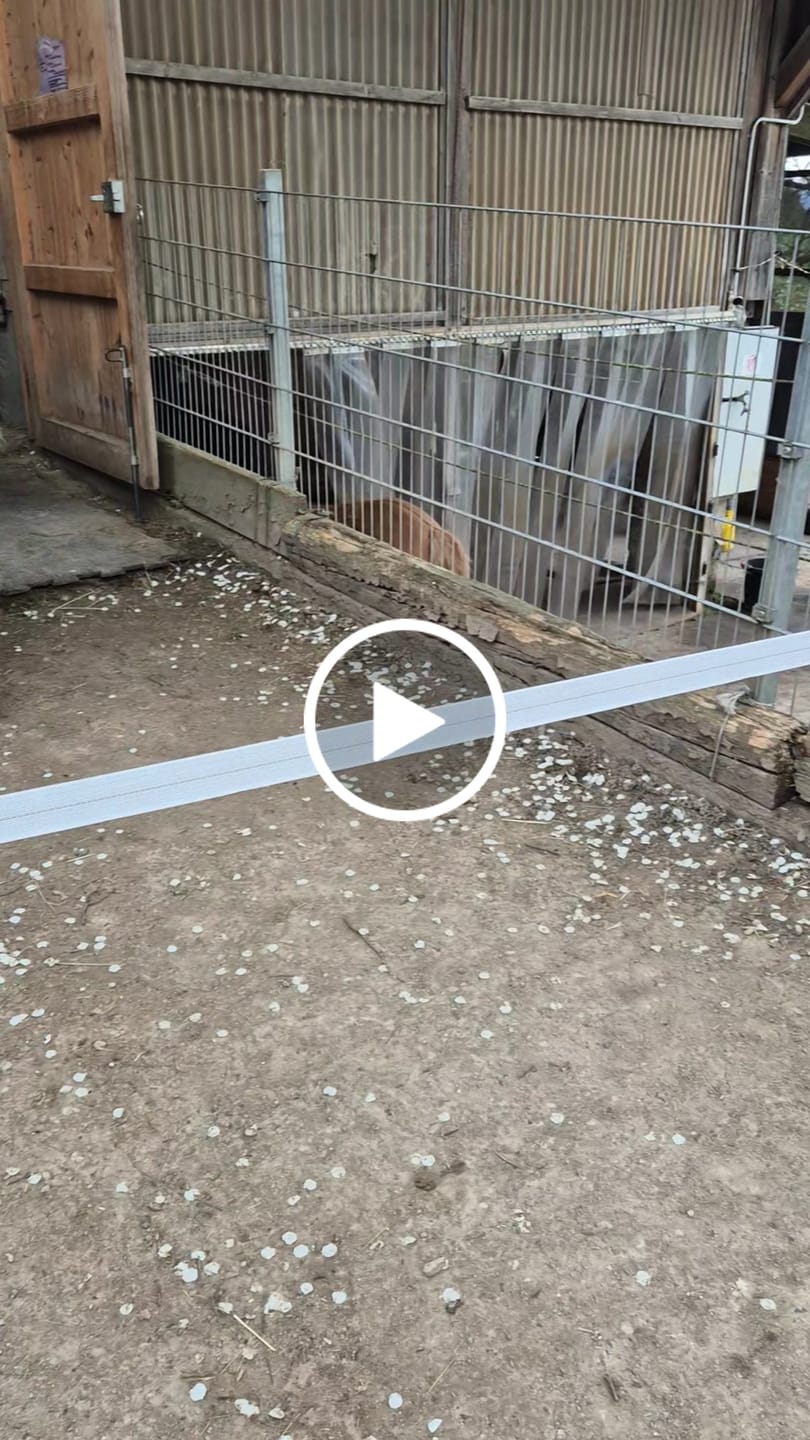 Customer video review of Feed-X - Automatischer Weidezaunöffner mit mechanischer Zeitschaltuhr