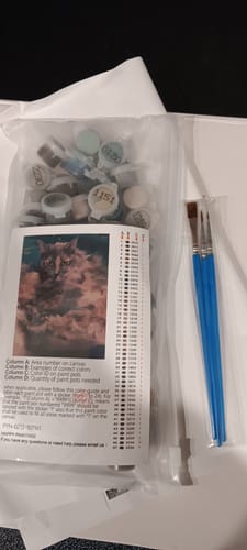 Customer photo review of Custom Paint By Numbers Kit - Upload Your Photo - Brush Set Included