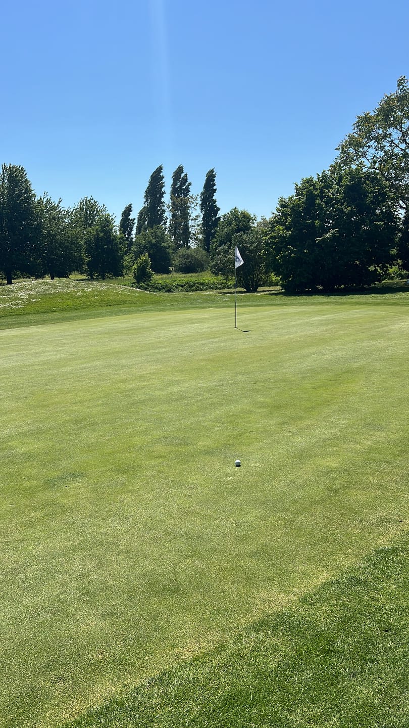 Customer photo review of Titleist - Pro V1x