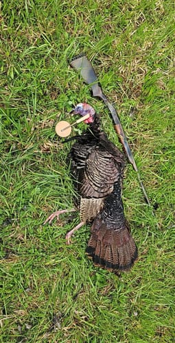 Customer photo review of Ceramic Over Glass All Weather Pot Call