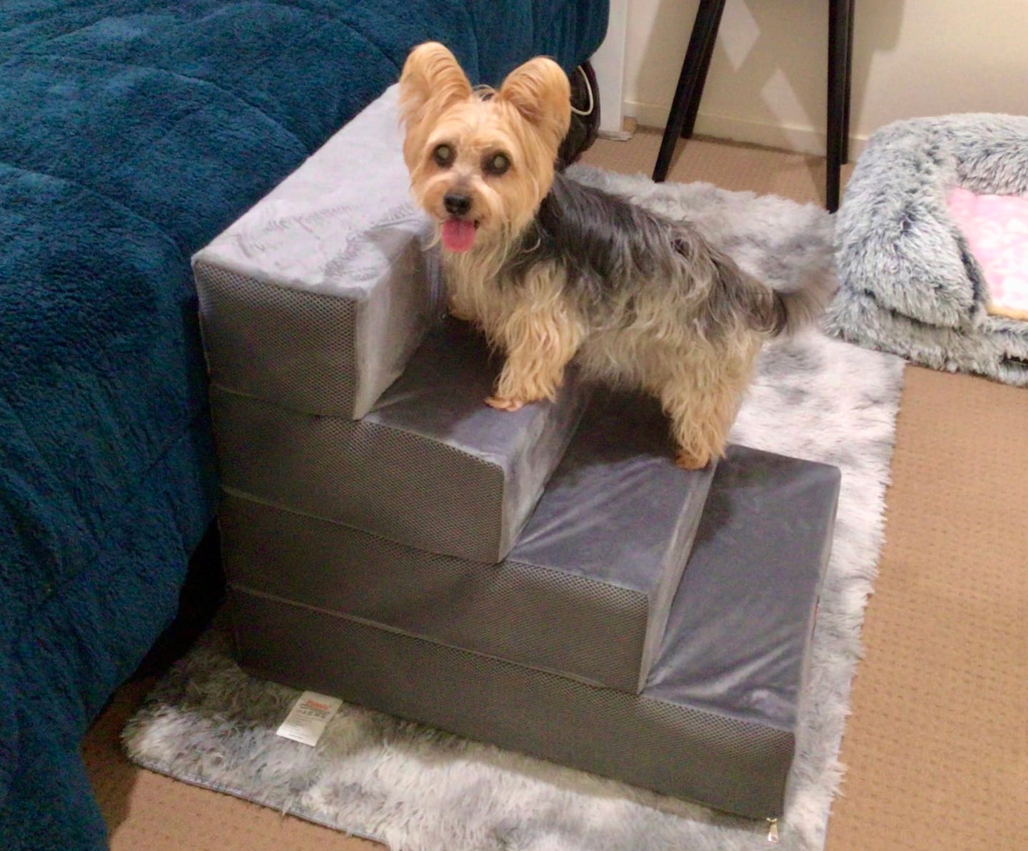 Customer photo review of PaWz Detachable Pet Foam Stairs