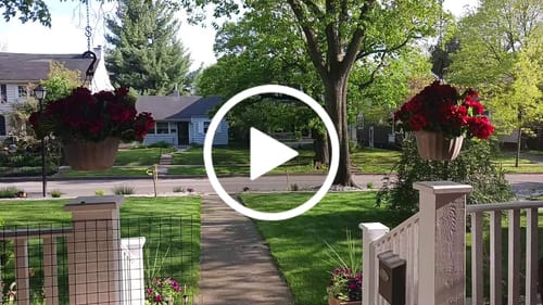 Customer video review of Bulk 16.5 inches Tall Geranium Bush Faux Flowers UV Resistant for Outdoors and Indoors Wholesale