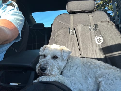 Customer photo review of Car Seat Cover