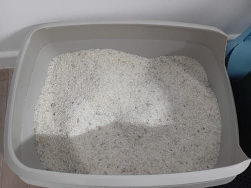 Customer photo review of 1 Month Supply – 2 Cat