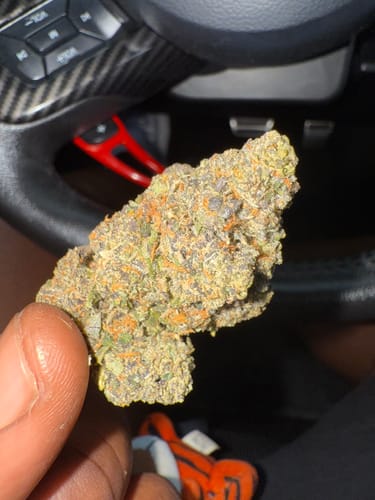 Customer photo review of Gush Mintz