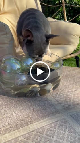 Customer video review of Shiny Hair