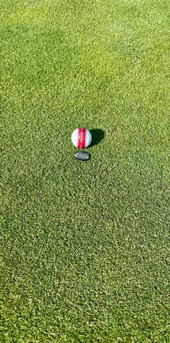 Customer photo review of Free Ball Marker
