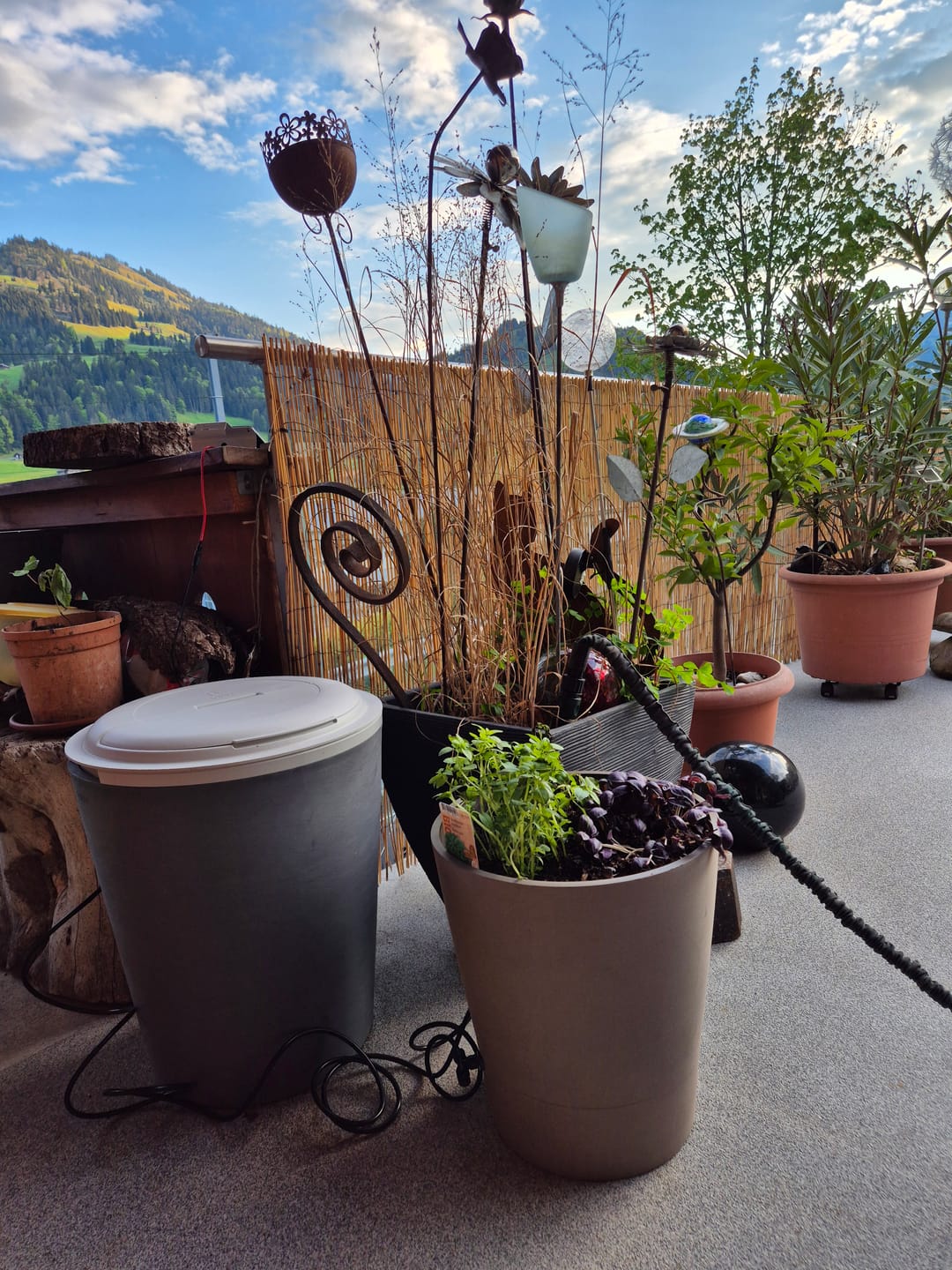 Customer photo review of Boum 2 Steuerung