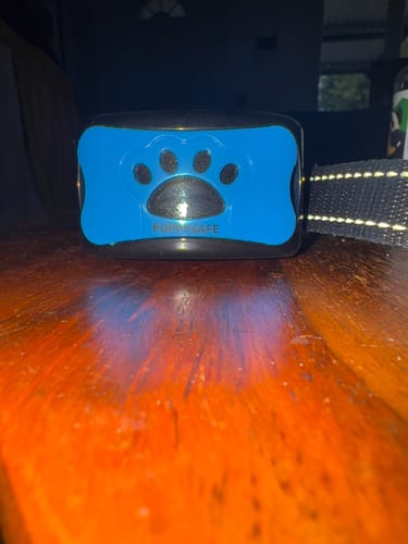 Customer photo review of Collier Anti Aboiement PuppySafe